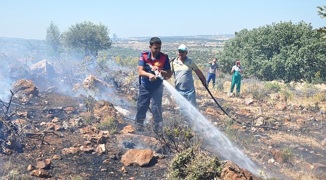 Çanakkale'de örtü yangınında 1 hektar alan zarar gördü