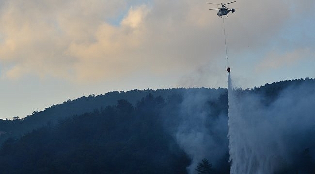 Çanakkale'deki orman yangınına havadan müdahale yeniden başladı