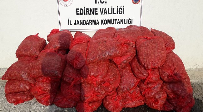 Edirne'de 1 ton kaçak midye ele geçirildi