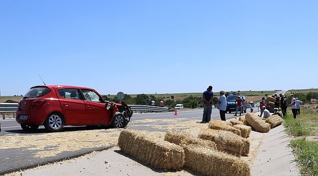 Edirne'de otomobile giren arı kazaya neden oldu