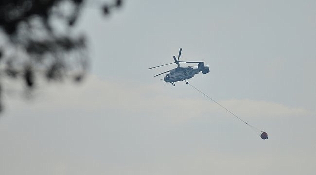 Gelibolu Yarımadası'ndaki orman yangınına havadan müdahale yeniden başladı