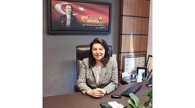 İskenderoğlu, Bayındırlık, İmar, Ulaştırma ve Turizm Komisyonu'nda Devam Edecek