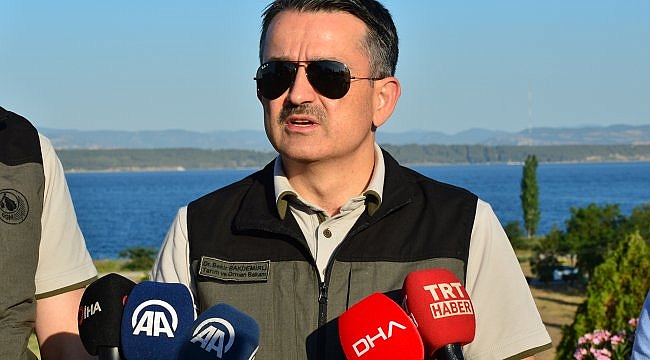 Tarım ve Orman Bakanı Pakdemirli: "Tüm yangınların hepsi kontrol altında"