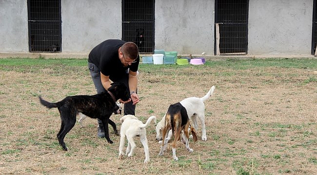 "Can dostlar"ına hayvan otelinde konaklama imkanı