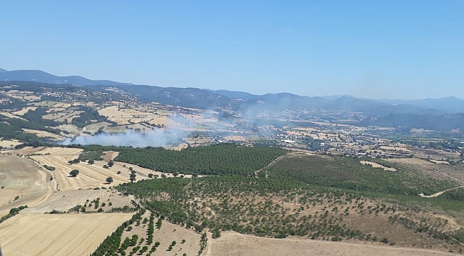Çanakkale'de orman yangını