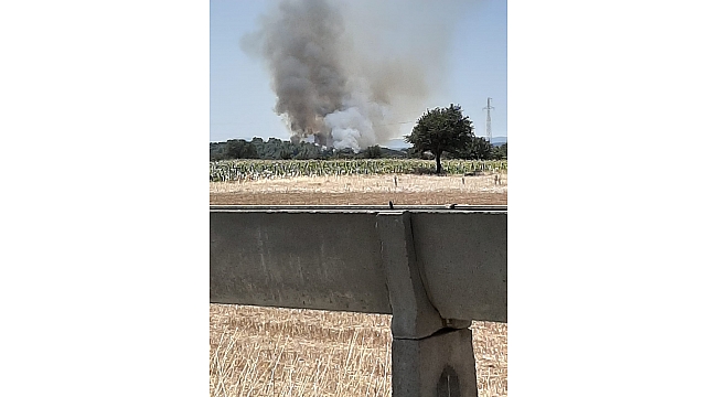 Çanakkale'de orman yangını çıktı