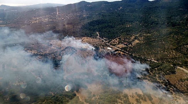 Çanakkale'de zeytinlik yangını