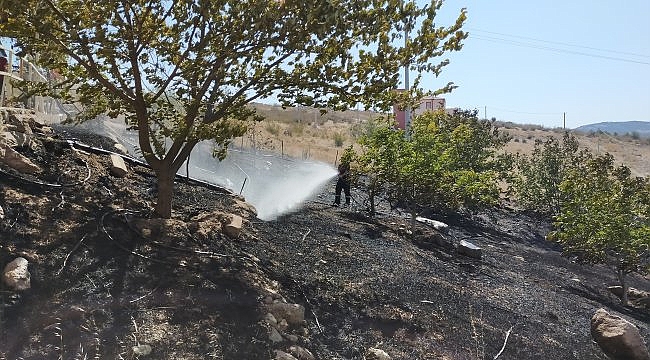 Ezine&#039;deki yangında 1 hektarlık alan zarar gördü