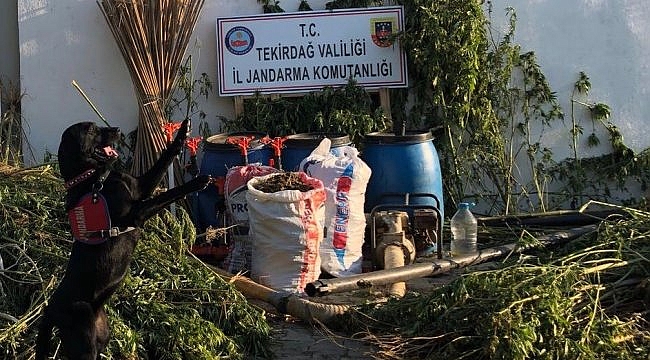 Tekirdağ'da 12 kilogram esrar ele geçirildi