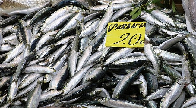 Av yasağı bitti Çanakkale'de tezgahlar balıkla doldu