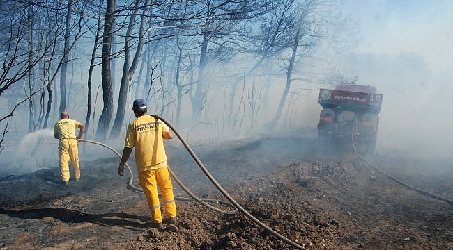 Bayramiç'te arazi yangını söndürüldü