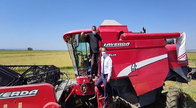 Biga'da yılın ilk çeltik hasadı yapıldı
