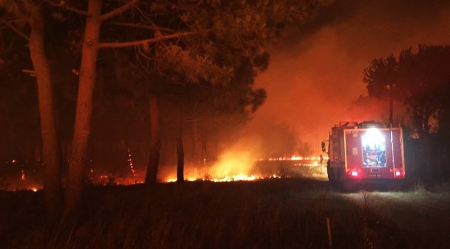 Çanakkale'de ormana sıçrayan yangın kontrol altına alındı