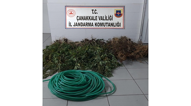 Çanakkale'de uyuşturucu operasyonu