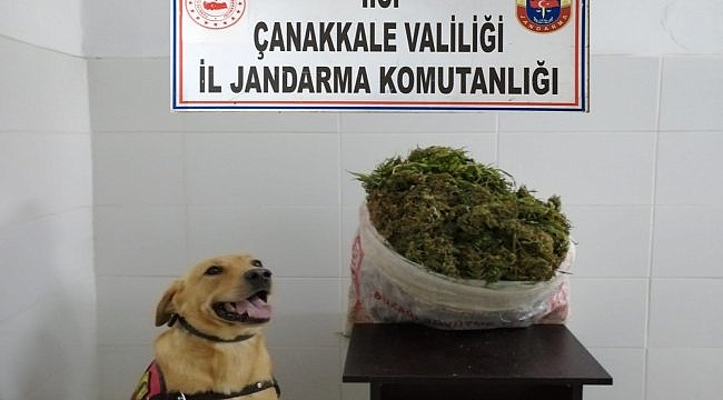 Çanakkale'de uyuşturucu operasyonu