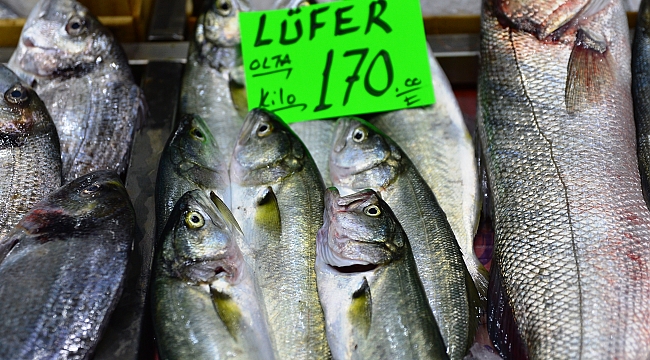 "Denizlerin prensi" lüfer, kilogramı 170 liradan tezgahta