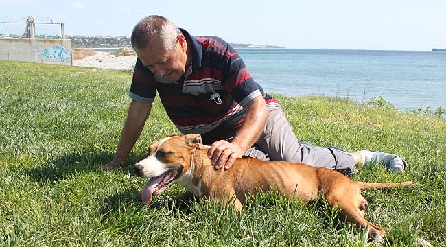 Felçli köpeğine her gün 2 saat antrenman yaptırıyor