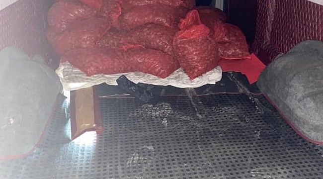 Edirne'de kum midyesi kaçakçılığı yapan kişiye 100 bin lira ceza uygulandı