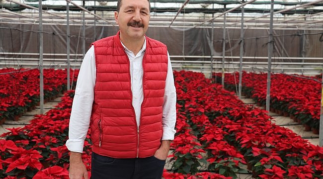 Kovid-19 salgınında evde kalanlar süs bitkilerine talebi arttırdı