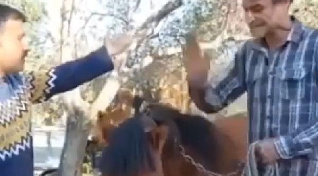 Çanakkale'de ata eziyet eden kişiye ceza kesildi