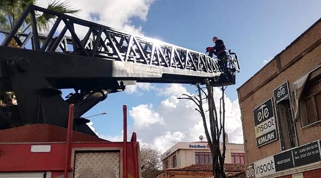Çanakkale'de çatıda mahsur kalan kediyi itfaiye ekibi kurtardı