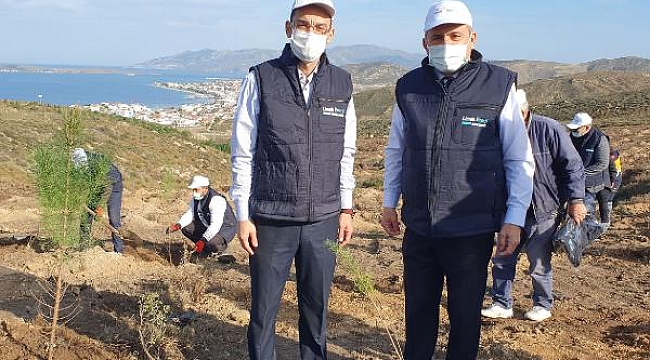 Limak Enerji'nin Yeşil Dönüşüm Ormanları Projesi, Balıkesir'de devam ediyor