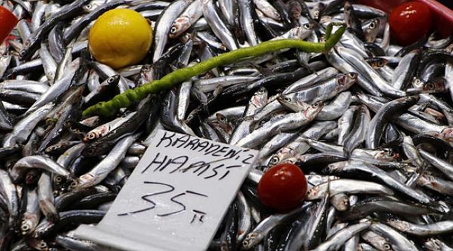 Prof. Dr. Berik: Haftada üç gün hamsi yiyerek, D vitamini ihtiyacımızı karşılayabiliriz