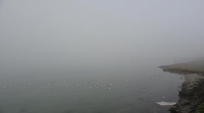 Çanakkale Boğazı yoğun sis nedeniyle çift yönlü geçişlere kapatıldı