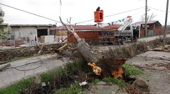 Çanakkale'de lodos fırtınası ağaçları devirdi