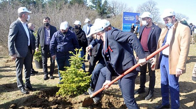 Cumhurbaşkanı Erdoğan'ın doğum gününde 'hatıra ormanı' oluşturuldu