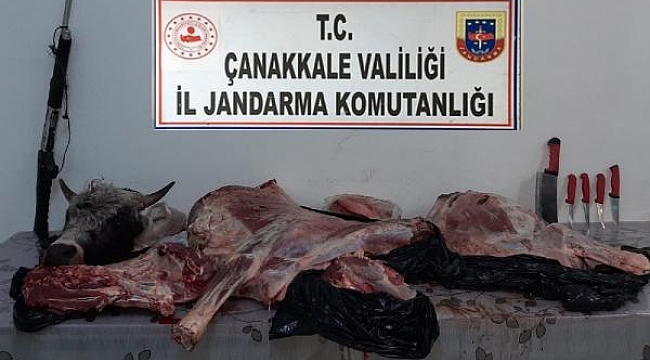 Büyük ve küçükbaş hayvanları silahla vuran 2 kişi, yakalandı
