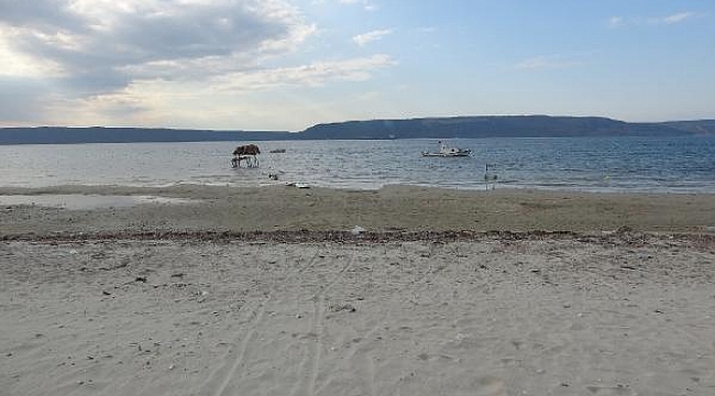 Çanakkale'de deniz suyu 20 metre kadar çekildi