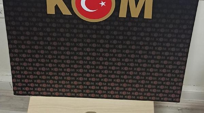 Çanakkale'de bir iş yerinde deniz yıldızı fosili ele geçirildi