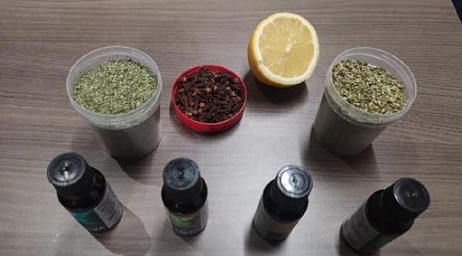 Koronavirüs sonrası koku sorununa doğal formül; limon, kekik, nane yağı ve karanfil