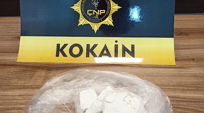 Otomobildeki 100 gram kokaini 'Lina' buldu