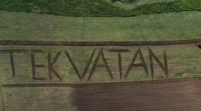 Sabanla tarlasına çizdiği 'ay yıldız' ve 'Tek Vatan' yazısı beğeni topladı