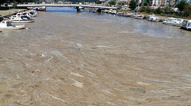 Çanakkale Boğazı'ndan sonra Sarıçay da müsilaj ile kaplandı