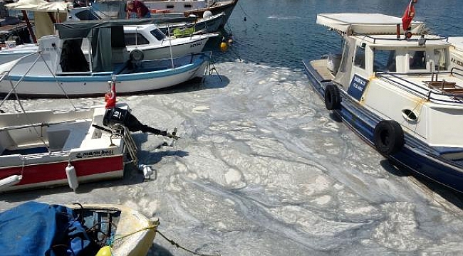 Çanakkale Boğazı'nda müsilaj temizliği devam ediyor