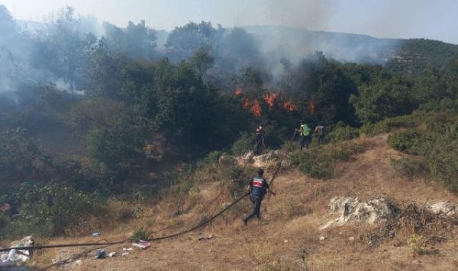 Balıkesir'de orman yangını; 20 dönüm alan kül oldu