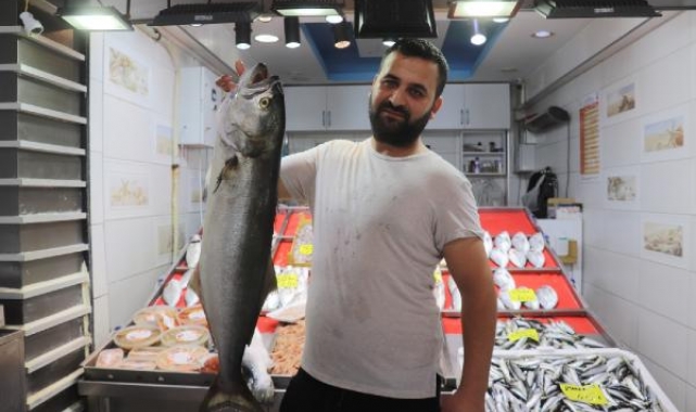 Çanakkale'de 6 kiloluk sırtıkara 900 liradan satışa sunuldu