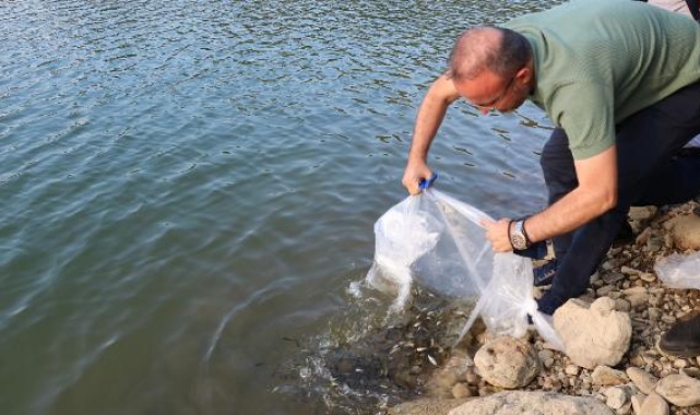 Çanakkale'de göletlere 250 bin pullu sazan balığı yavrusu bırakıldı