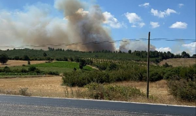Çanakkale'de orman yangını