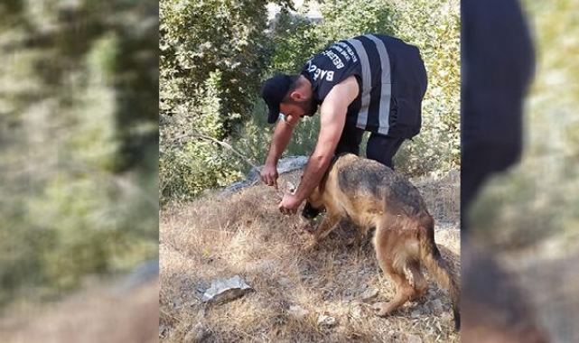Yangın görevlisi yemeğini köpekle paylaştı