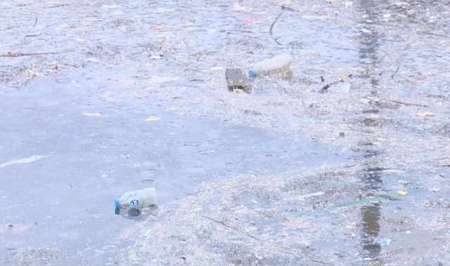 Marmara'da balıkçılığa müsilajın ardından denizanası tehtidi