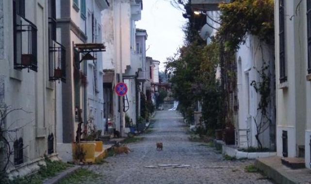 Bozcaada'da boş ev çok, kiralık yok