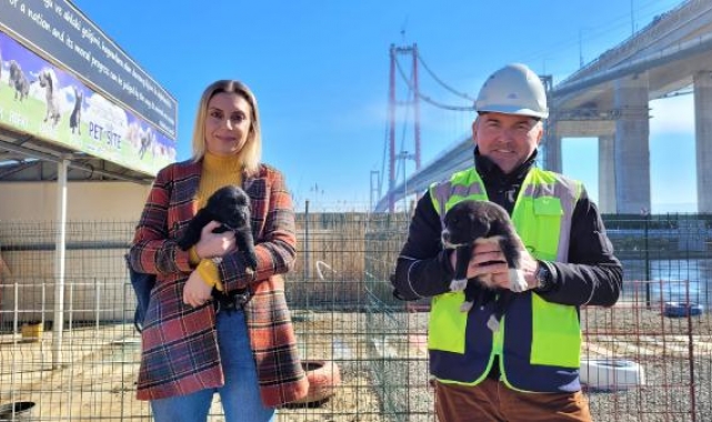 1915 Çanakkale Köprüsü'ne can dostlar için barınak
