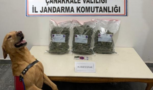 'Tatbik' araçtaki 2,5 kilo esrarı buldu