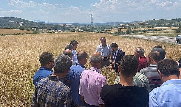 BAYRAMİÇ'TE DOLU YAĞIŞINDA ZARAR GÖREN BÖLGELER İNCELEDİ