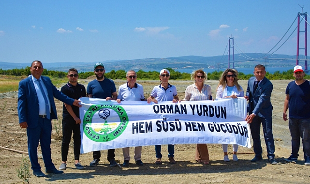 Mesire Alanında 750 Adet Zeytin Fidanı Dikimi Gerçekleşti