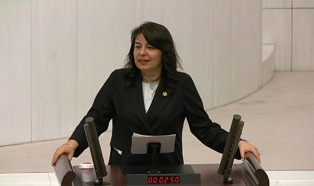 “Ne zaman ülke yararına bir iş olsa karşısında aynı grup var”